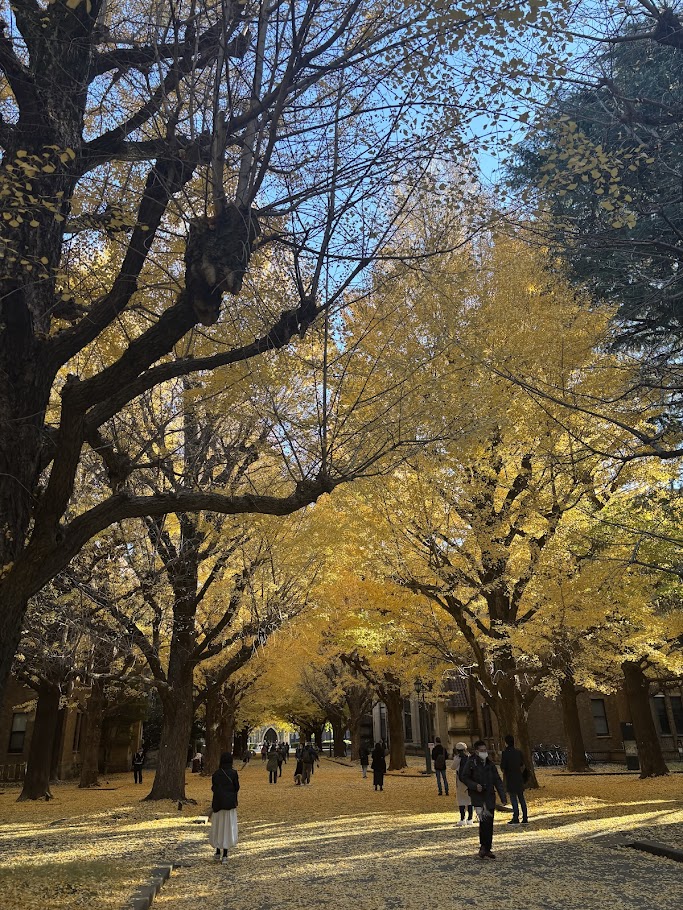 銀杏の葉
